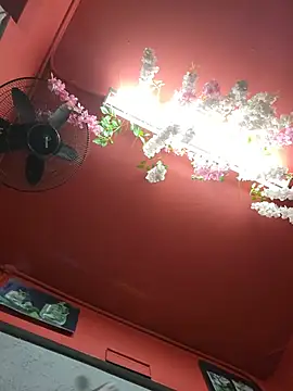 Bonergad's Webcam Show