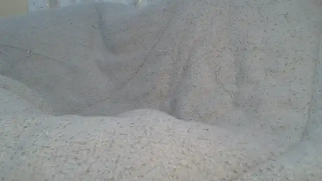 mudodzwa8's Live XXX Chat