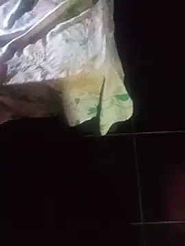Webkamerová show flavoio89