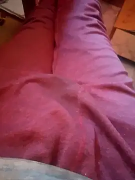 Karan34213n Webbikameraesitys