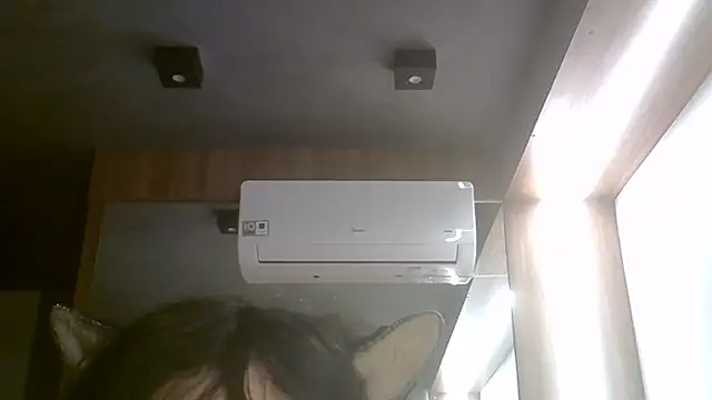 SkinnyKitten's Webcam Show