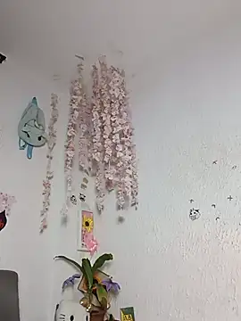 Chat XXX en directo de Kuutar