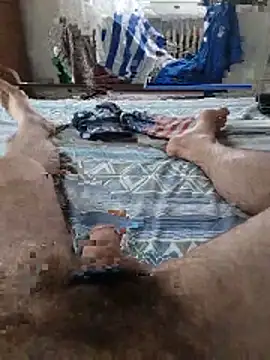 Calabriggia 现场XXX聊天