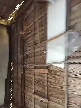 -Arabella- 现场XXX聊天