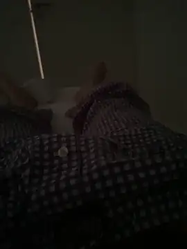 Show modela WhiteCockMan98 na web-kameri