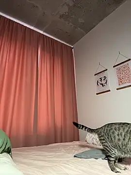RinaCat 现场XXX聊天