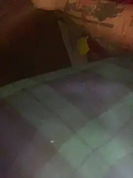 Chat +18 de GusanoDelicioso ao vivo