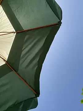 Chat +18 de Soltissimo ao vivo