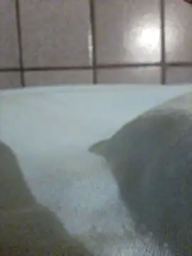 Show de Tesseusgostoso na webcam