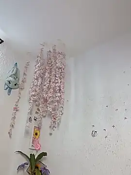 Kuutar Chat XXX in diretta