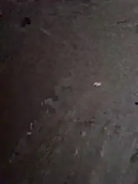 عرض كام _Diamant__
