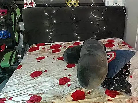 Вебкам-шоу BigCockEricaTs69