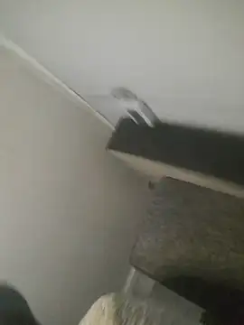koolbend Obrolan Langsung XXX
