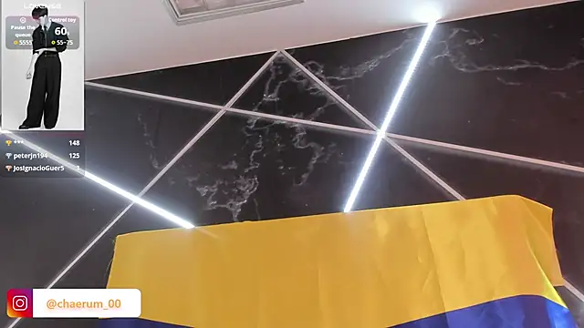 AerumChae Adlı Modelin Canlı XXX Sohbeti