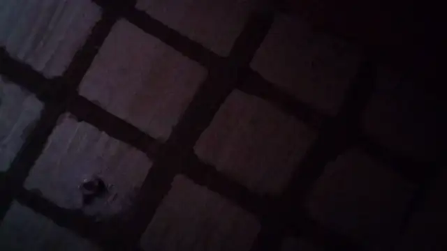 fornicadorcitaa 라이브 XXX 채팅