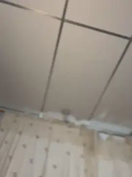 CarolQueen1_ élő XXX-chatje