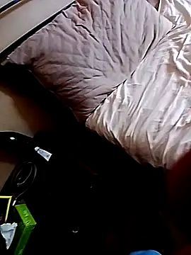 Porcopalestratocazzone21 Webcam show