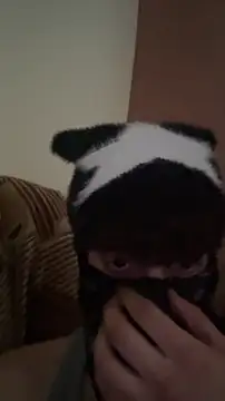 Chat XXX Live Hz1Tr