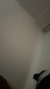 Hz1Tr Pertunjukan Webcam
