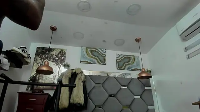 Show webcam de KING_FIT