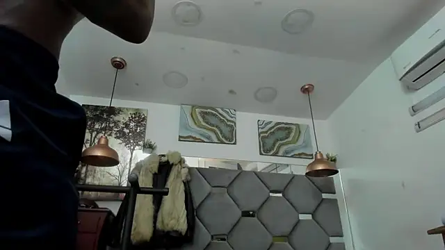 KING_FIT Webcam Show