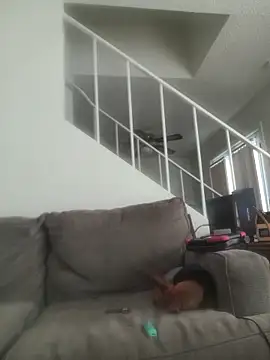 yourMasterisBored's Webcam Show