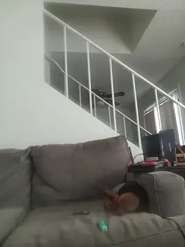 Show Webcam de yourMasterisBored
