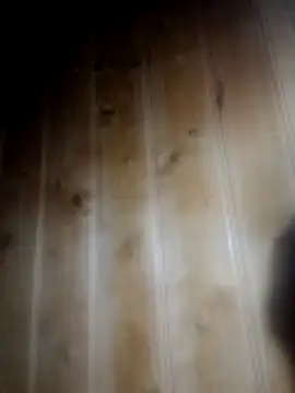 Blowjob0100 现场XXX聊天