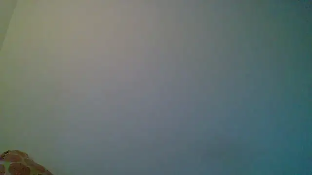 Kaappi1967 即時 XXX 聊天