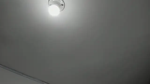 honeyhtx 라이브 XXX 채팅