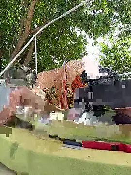 edibbv élő XXX-chatje
