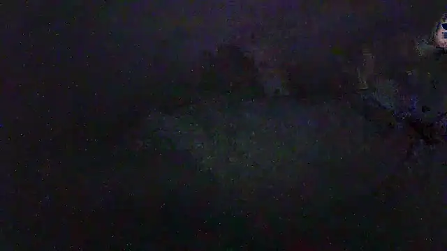Živý XXX chat MAYA100