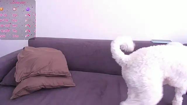 Tenderly_Couple – Naživo XXX chat