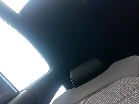 blaizen2000's Live XXX Chat