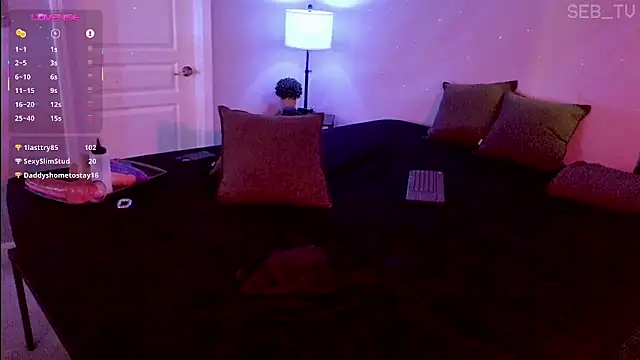 seb_tv 现场XXX聊天