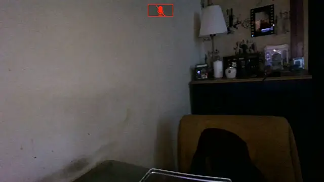 Hgay6935 Obrolan Langsung XXX