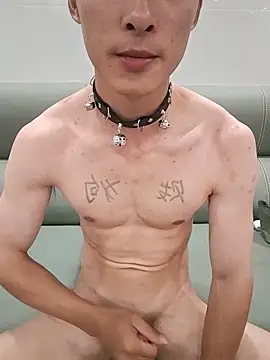 ju-zi8 网络视讯表演