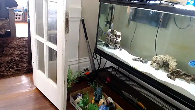 Chat XXX en directo de EspanolVato