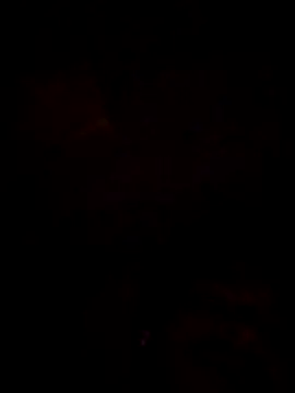rahul42070 웹캠 쇼