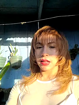 Evehamp Show in webcam