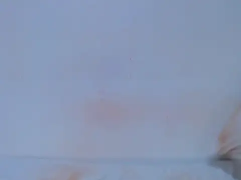 Chat +18 de HONEYxPOT ao vivo