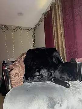 Shuggabutt's Webcam Show