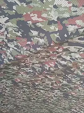 xjkedv's Webcam Show