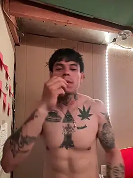 Show Webcam de Imnotabatman45