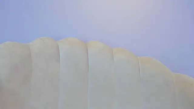 Chat XXX ao vivo de miajhonsonx