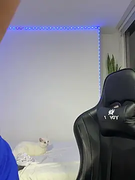 Chat XXX en directo de XavierColeman