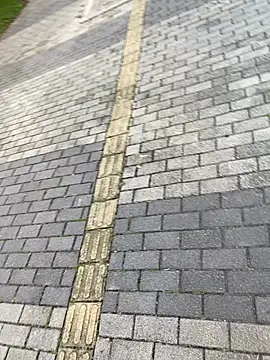 rider239 网络视讯表演