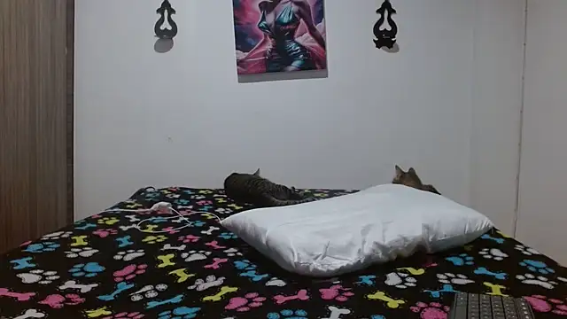 Chat +18 de Crystal_Star_ ao vivo