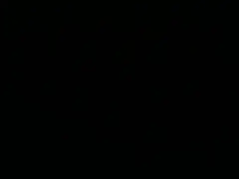 Show Webcam de pnp3477