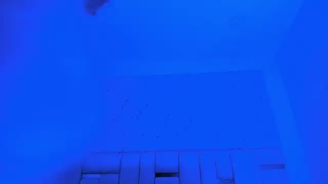 Rachel_Tom Live XXX-Chat